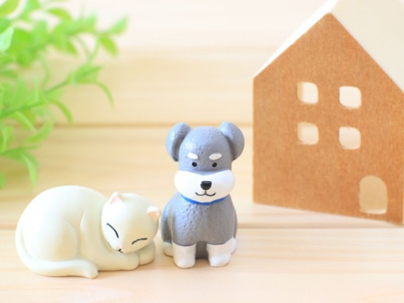 【外壁塗装とペット】愛犬・愛猫を守るための5つの対策！ニオイと騒音のストレス回避術