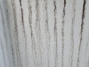 白い外壁に黒い雨だれによって広がっている劣化状態
